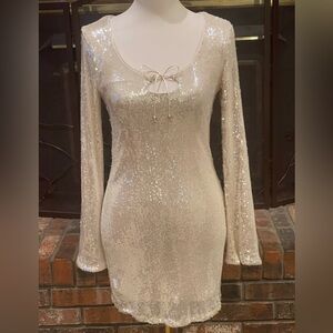 Wild Fable Silver Sequin Long Sleeve Dress